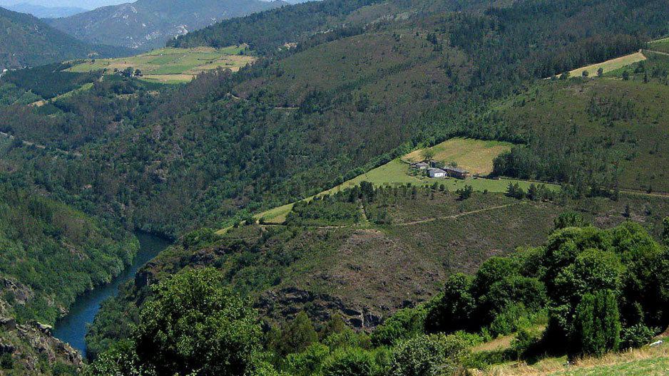 Asturias Contacto: Idealista.com Precio: 500.000 euros (700.000 con montes y fincas)