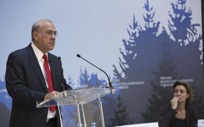 El secretario general de la OCDE, Ángel Gurría.