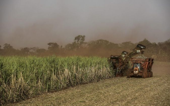 Imagen de una explotación de caña de azúcar en Brasil.