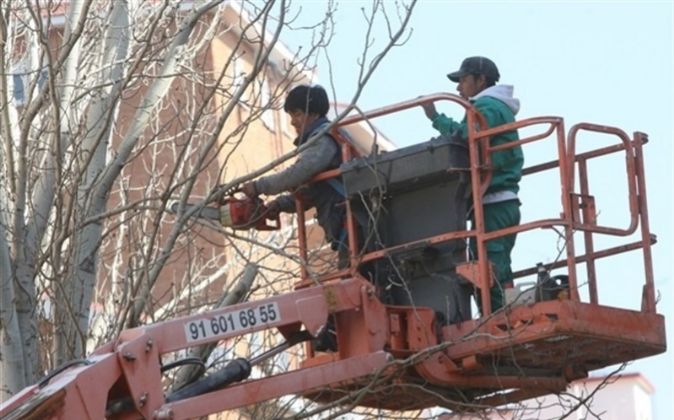 La Seguridad Social gana un 10,9% de afiliados extranjeros en Extremadura