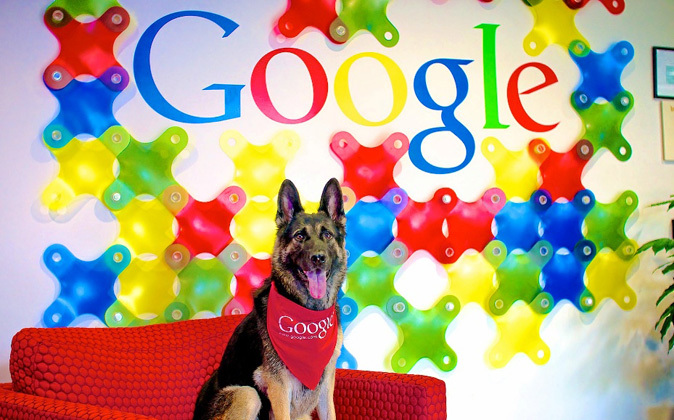 Cuestión corporativa en Google. El amor por los animales está...