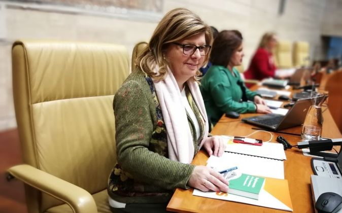 Victoria Domínguez Paredes, portavoz de Ciudadanos en la Asamblea de...