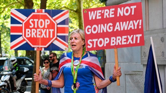 Una manifestante anti-Brexit con pancartas ante el Parlamento...