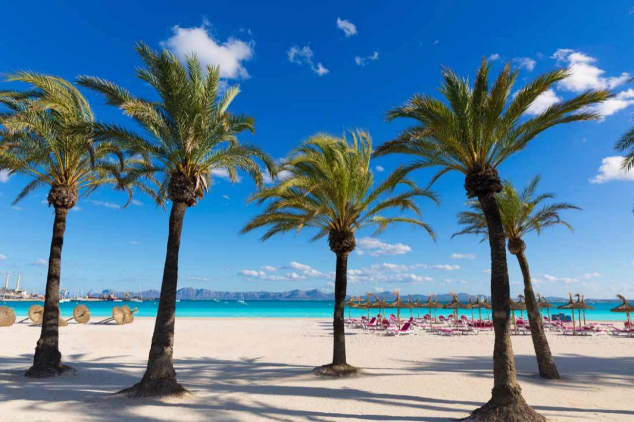 Situada al norte de la isla de Mallorca. Es famosa por sus playas...