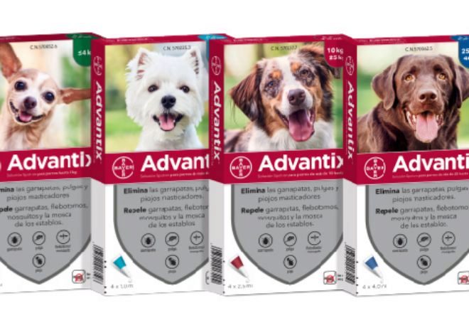 Bayer completa la venta de su unidad de negocio Animal Health a la  americana Elanco | Empresas