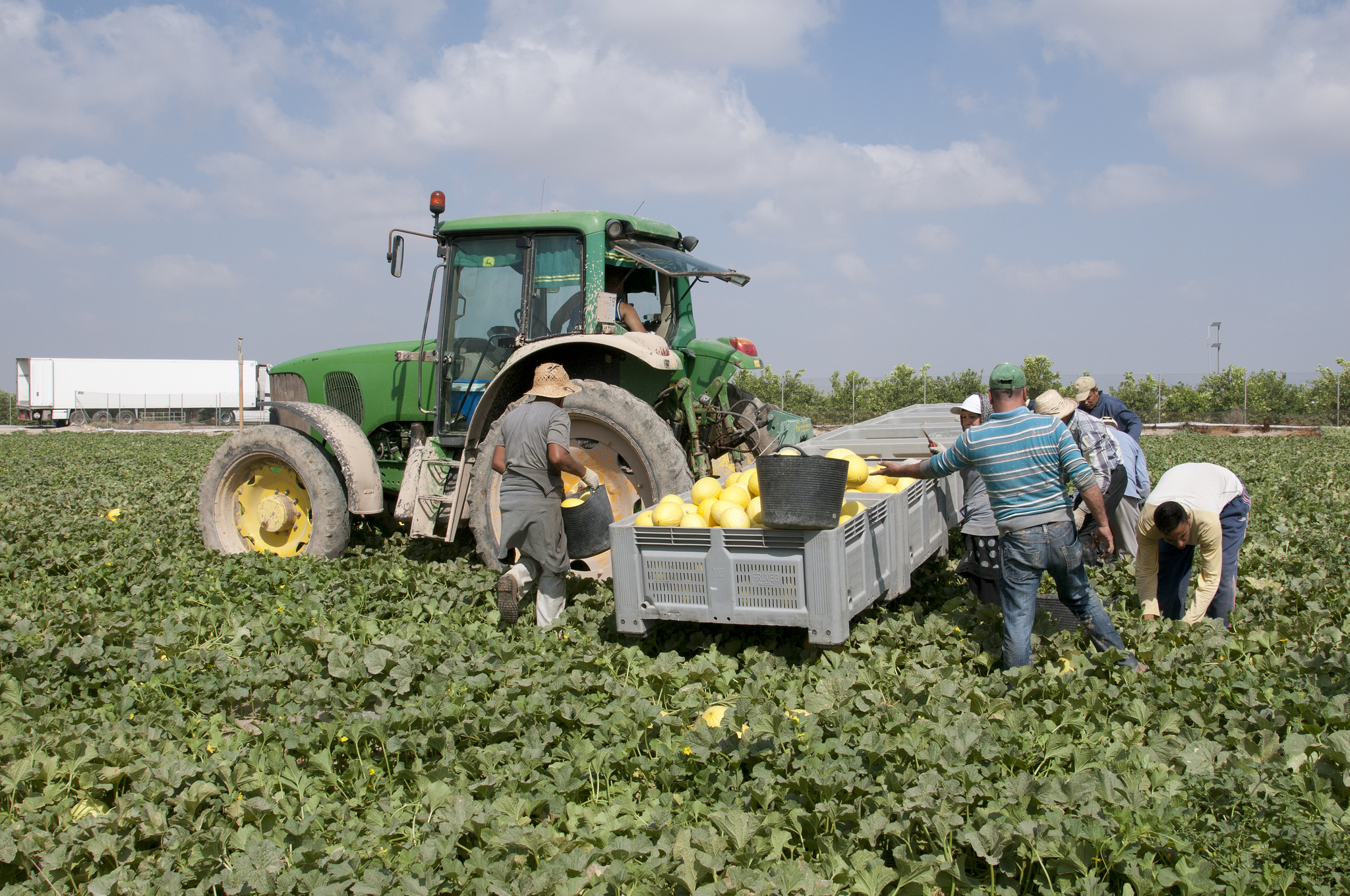 Nuevos guiños al sector agrario en plenas elecciones europeas