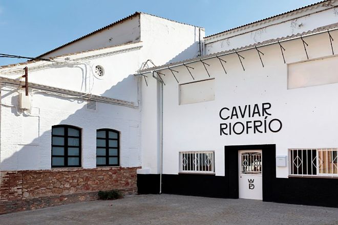 En el centro del Loja, la cuna del Caviar Riofro, se encuentran la piscifactora original y una pequea tienda.