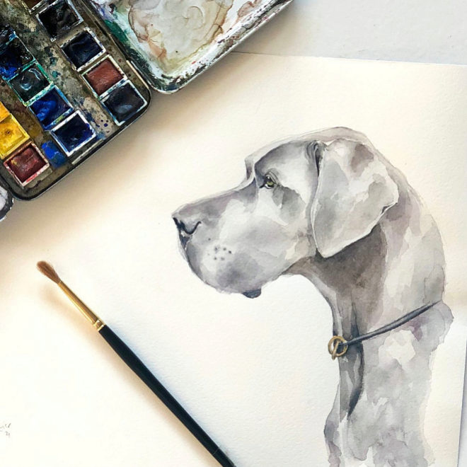 Este curso estrene vajilla de porcelana ilustrada con el retrato de su  perro | Cultura