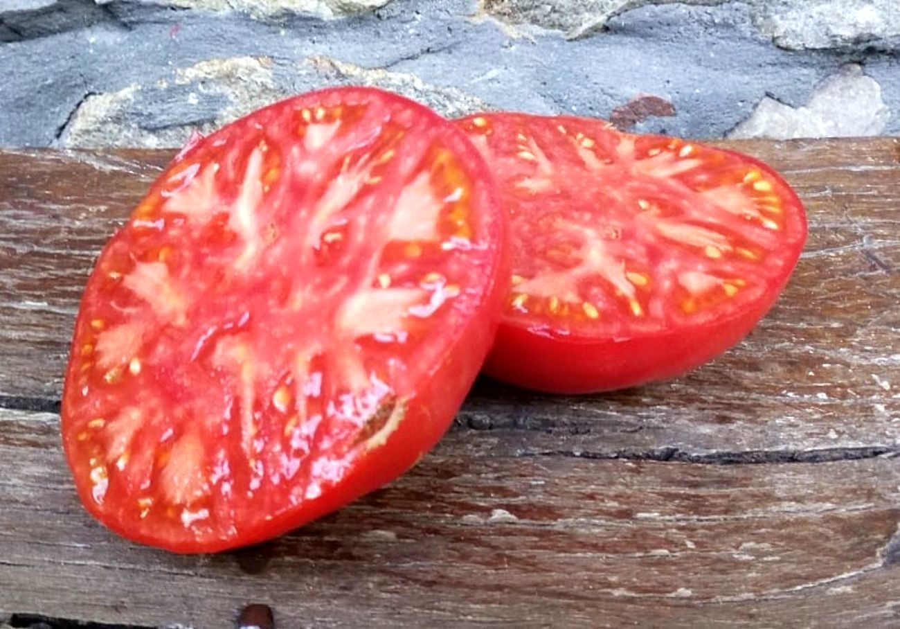 Muy apreciado en el País Vasco, el tomate de Aretxabaleta es una...