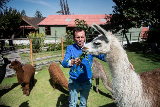 Un visitante da de comer a una alpaca en Mundo Alpaca, una especie de museo abierto por el Grupo Michell a las afueras de Arequipa.