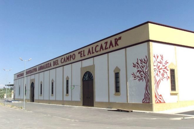 Cooperativa El Alcázar de Baeza, Jaén, que produce el mejor aceite de oliva del mundo, Olibaeza.