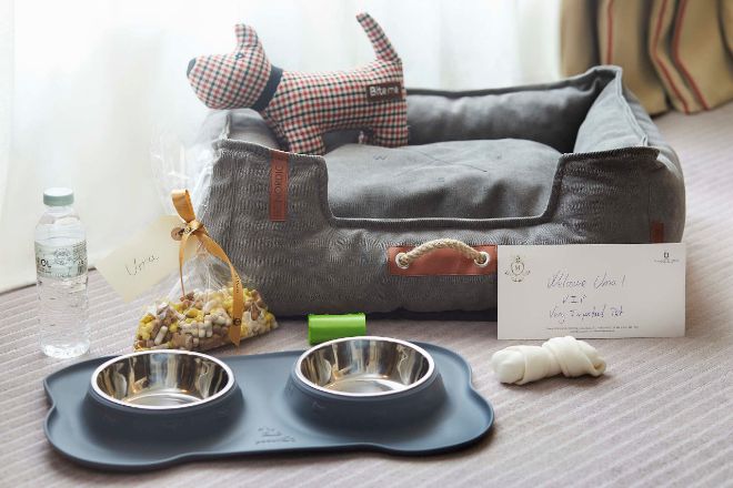 Pack de bienvenida que reciben los perros en el Majestic Hotel 