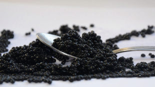 envolturas caviar