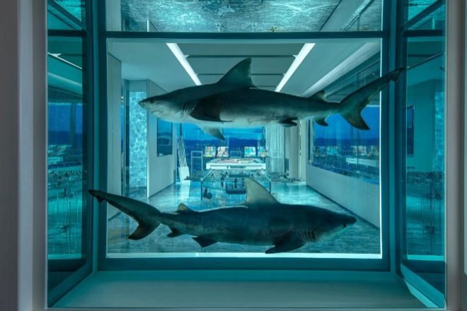 Tiburones en The Empathy Suite del hotel Palms Casino Resort.