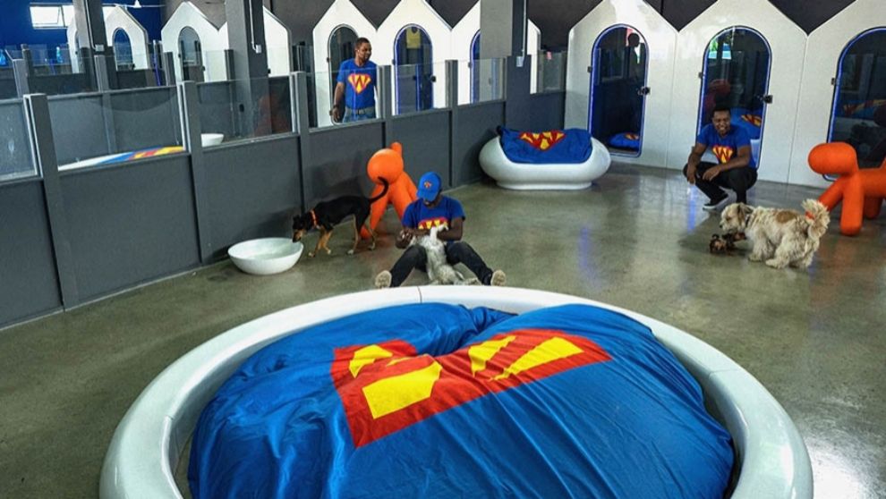 Superwoof Dog Hotel