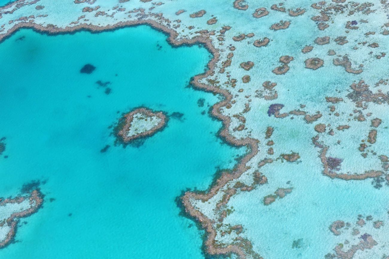 Este enorme arrecife se extiende por 2.600 kilmetros, todo un...