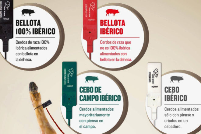 Infografía con los diferentes tipos de jamón ibérico según alimentación.