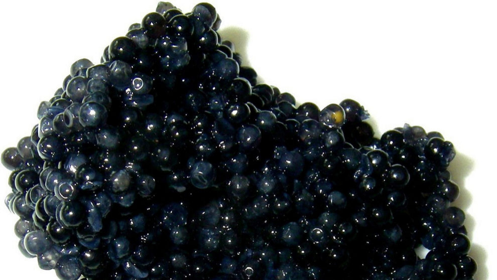 Reina O después Depresión Por qué es tan caro el caviar? Las 5 claves que justifican su precio |  Gastro