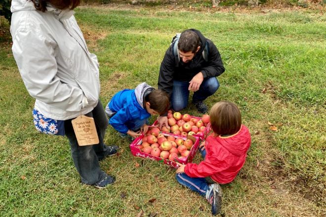 Una familia recolecta sus manzanas Pink Lady.