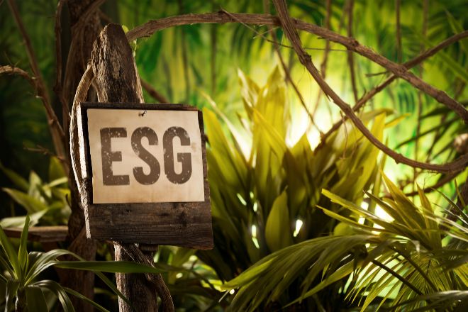 En la jungla de la inversión sostenible, ¿cuáles son los mejores fondos ESG?