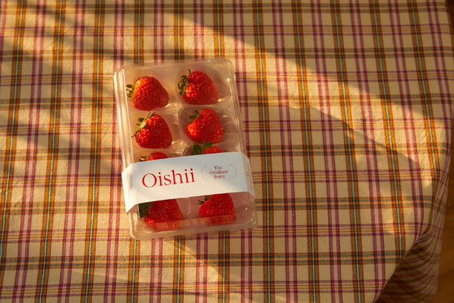 La variedad Oishii ha comenzado a cultivarse de manera vertical en Nueva Jersey, Estados Unidos. 