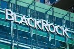 BlackRock aconseja invertir en empresas con altas emisiones y planes creíbles de 'net-zero'