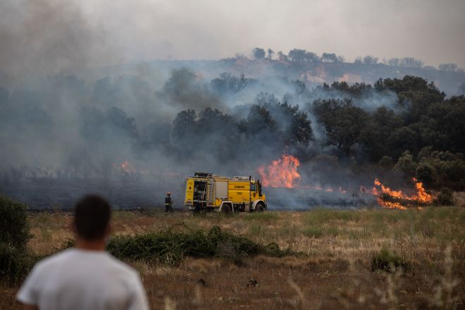 Varios bomberos trabajan en la extinción del fuego en Tábara (Zamora)