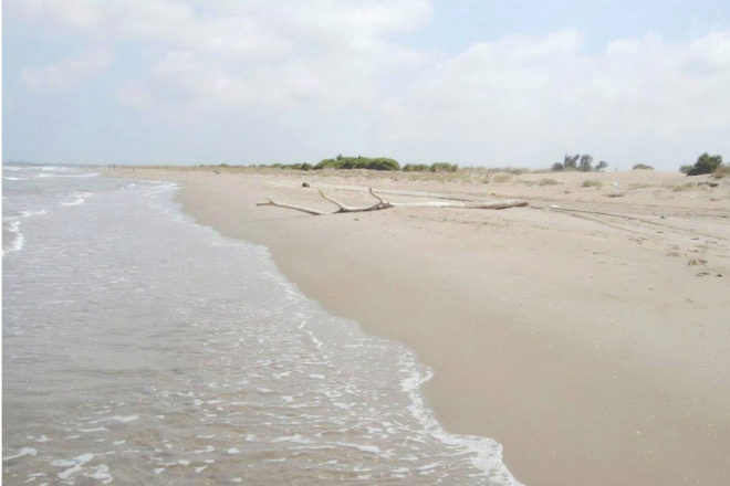 Playa La Balsa de La Arena (Tarragona).