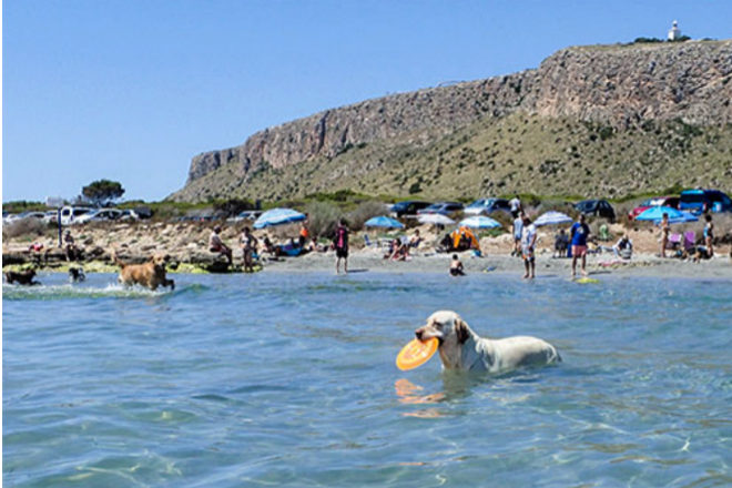 Playa Caleta dels Gossets. 