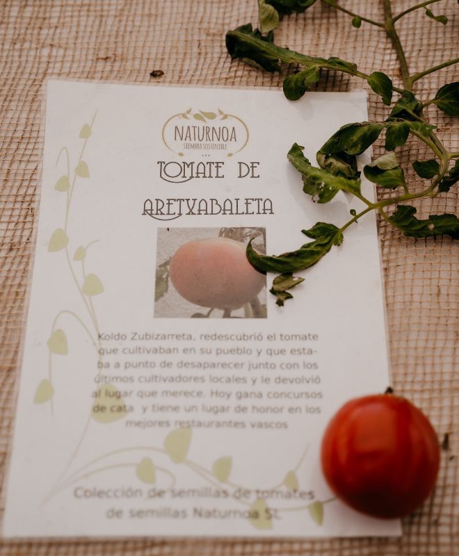 El tomate Aretxabaleta es una variedad antigua con el equilibrio perfecto entre dulzor y acidez.