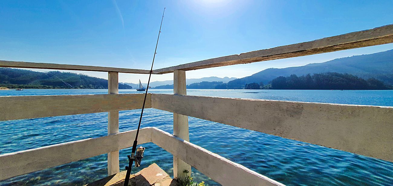 Desde la casa se puede bajar a pescar en la zona de pesca que hay a...