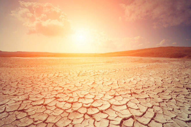 COP27: Cómo asumirán los compromisos climáticos países y empresas y qué pueden esperar los inversores
