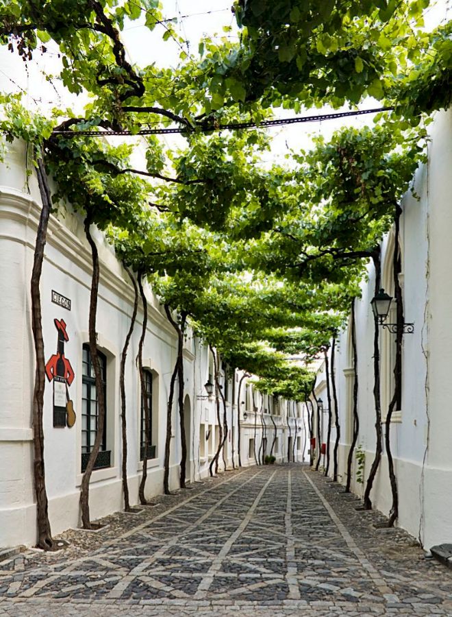 Calle Ciegos, considerada una de las más bonitas del mundo. 