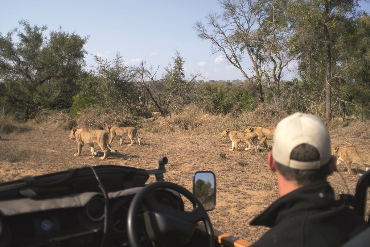 Kruger National Park/South African Tourism