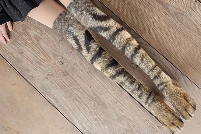 Calcetines patas de gato
