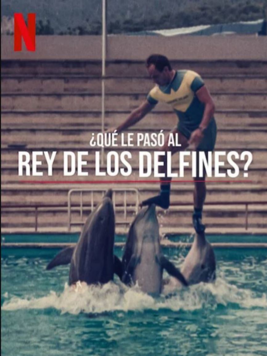 8.¿Qué le pasó al rey de los delfines? Directores Luis
