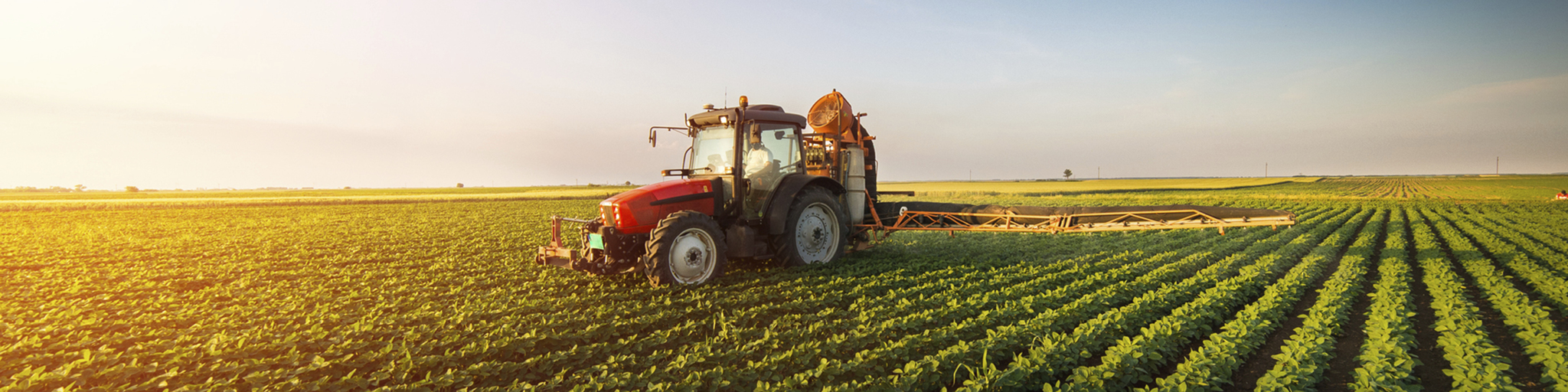 Vía libre al vino y al aceite de oliva: así son los detalles para el sector agrario del pacto comercial UE-India