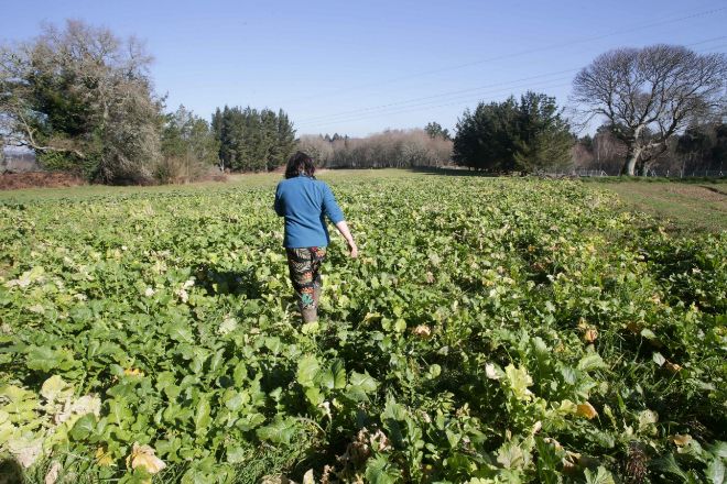 Por qué en España se trabajan cada vez menos horas pese a la recuperación del empleo