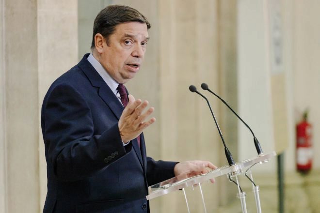 El ministro de Agricultura, Pesca y Alimentación, Luis Planas.