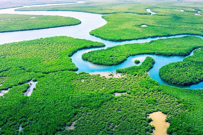 La selva amazónica ocupa 400 millones de hectáreas.