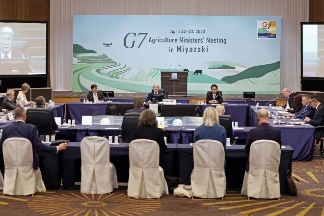 El G7 condena el uso de Rusia de los alimentos como herramienta de «coerción»