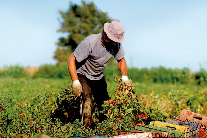 El colapso de la agricultura enturbia la mejora laboral entre enero y marzo