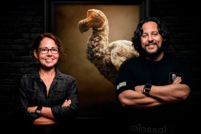 Ben Lamm, CEO y cofundador de Colossal Biosciences, junto a Beth Shapiro, la paleogenetista que lidera el proyecto para resucitar al dodo.