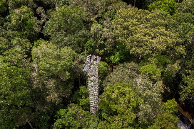 Estructura a cielo abierto que estudia el bioma de la selva brasileña en el Amazonas.