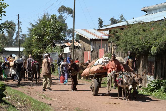 Alerta de la FAO: la comida está subiendo más en los países pobres