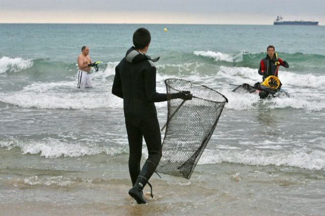 Técnicos del Aquarium de Barcelona intentan capturar el 19 de agosto de 2007 un tiburón que se vio en la playa de Milagro de Tarragona.