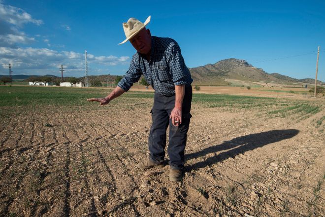 La falta de agua pone en jaque el liderazgo del sector agroalimentario español