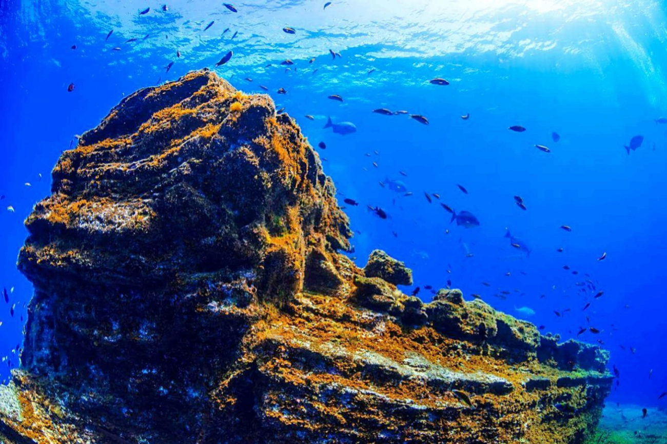 La reserva marina de La Restinga en la isla del Hierro es uno de los...