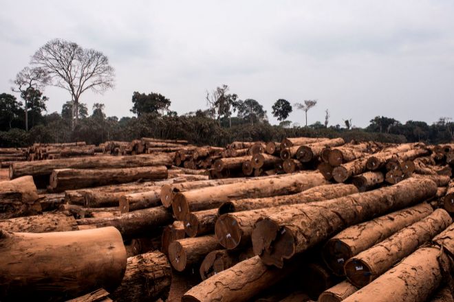 El consumo de la UE representa l 10% de la deforestación mundial.