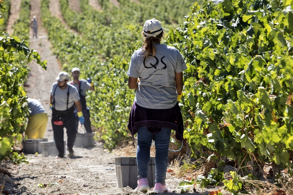 Las empresas familiares despiden menos sus trabajadores